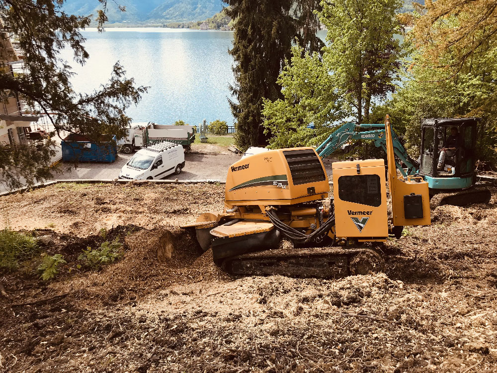 Un véhicule s'occupe du dessouchage d'arbres