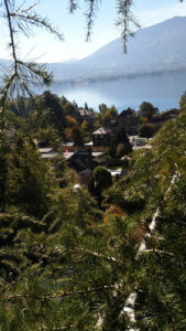 Vue sur le lac depuis un arbre