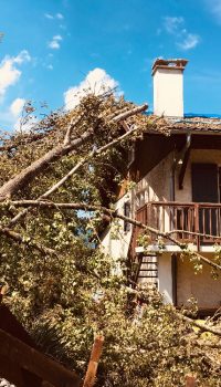 Suite à une chute, un arbre se retrouve contre une maison, l'équipe va faire l'elagage