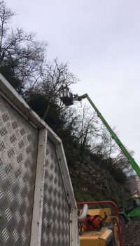 Un homme dans une nacelle est élevé afin de pouvoir effectuer l'elagage d'un arbre en hauteur